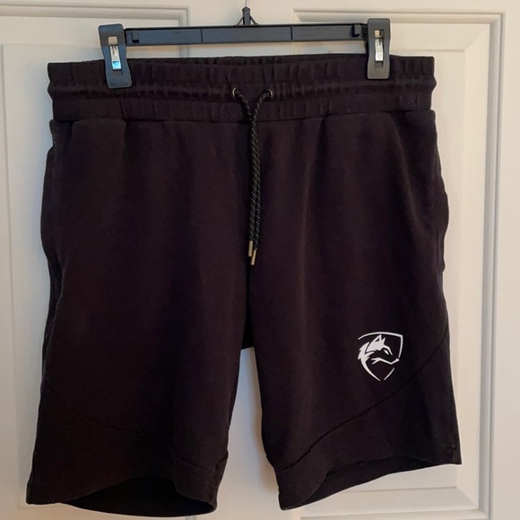MENS ALPHALETE SHORTS - Picture 1 of 8